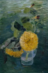 Girasoles