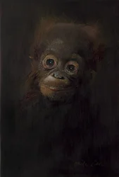 Bebé orangután 1, 2009 (acrílico sobre madera)