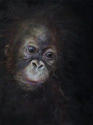 Bebé orangután 3, 2015 (acrílico sobre madera)