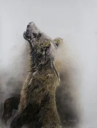 Oso pardo 3, 2009 (carboncillo, conte y pastel a la tiza sobre papel Fabriano)