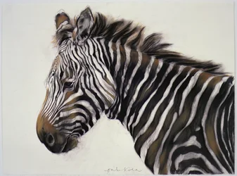 Zebra, 2002 (carboncillo y tiza)
