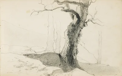 Dibujo de un álbum titulado "El País Vasco", 1862-63