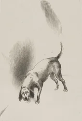 Él [el perro del narrador] mantenía sus ojos fijos en mí con una mirada tan extraña, lámina 3 de 6