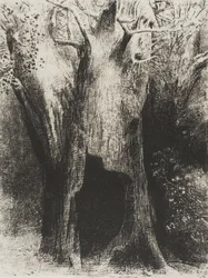 Me sumergí en la soledad. Viví en el árbol detrás de mí, lámina 9 de 24