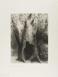 Me sumergí en la soledad. Viví en el árbol detrás de mí, lámina 9 de 24