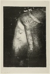 Perfil de Luz