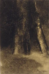 Esbozo de árboles