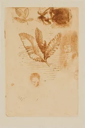 Bocetos