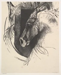 El Corcel, 1894