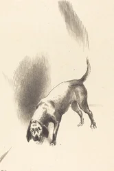 El perro