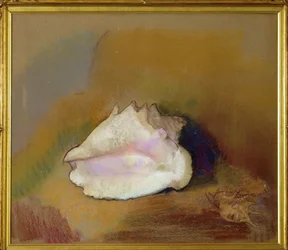 El caparazón