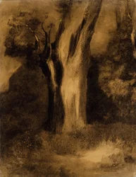 Árbol