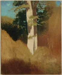 Árbol con Cielo Azul
