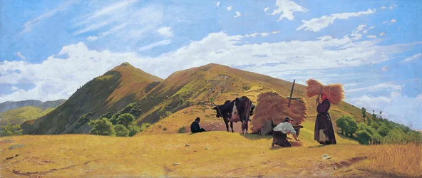 Cosecha de cereales en las montañas de San Marcello