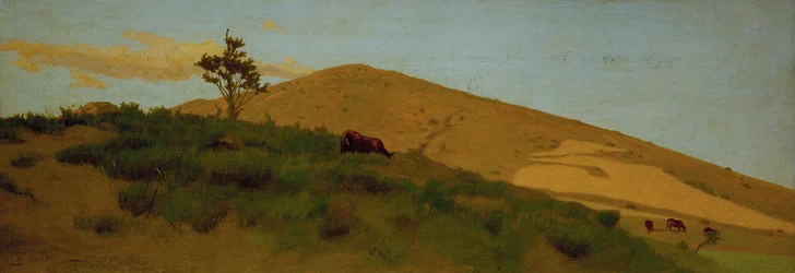 Pasto