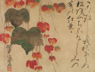Hiedra de otoño