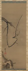 Prunus, pergamino colgante, c.1700