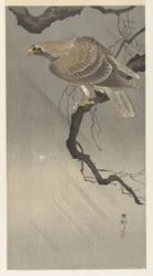 águila en rama
