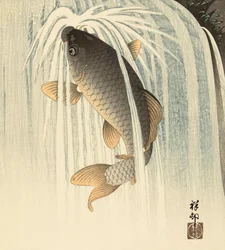 Carpa bajo una cascada, del artista japonés Ohara Koson