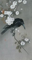 Cuervo en una rama de cerezo en flor