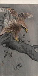 Águila con alas extendidas en tronco de árbol