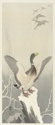 Pato en tocón de árbol cubierto de nieve