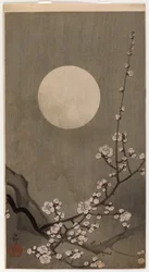 Ciruela floreciente y luna