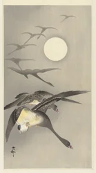 Gansos en luna llena