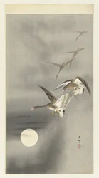 Gansos en vuelo