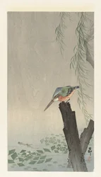 Martín pescador en tocón de árbol