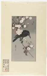 Cuervo y flor de cerezo Hana sakura no tori (título sobre objeto)