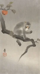 Mono en un árbol frutal