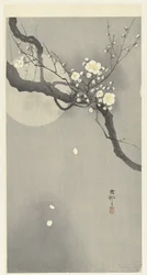 Flor de ciruelo y luna llena
