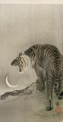 Tigre rugiendo y luna creciente