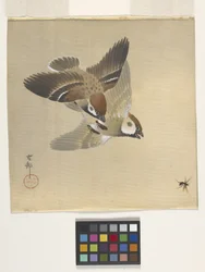 Sparrows Chasing Flying Insects (tinta y color sobre seda)