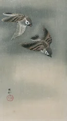 Gorriones en vuelo