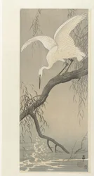 garza blanca en la rama de un árbol