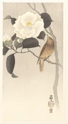 Pájaro cantor y camelia floreciente