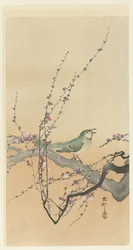 Pájaro cantor y flor de ciruelo.