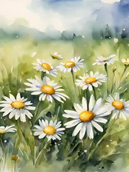 Campo de margaritas en flor