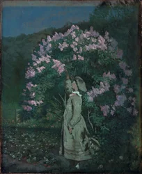 El arbusto de lilas