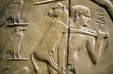 (detalle) de un relieve que representa a un hombre llevando un animal sacrificial