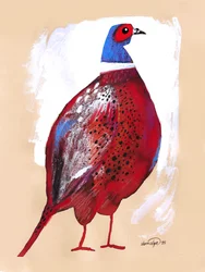 Faisán rojo intenso
