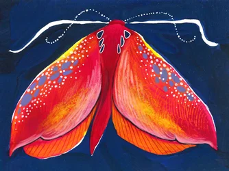 Polilla nocturna de colores
