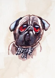 Pug melancólico