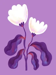 Flores de lavanda modernas