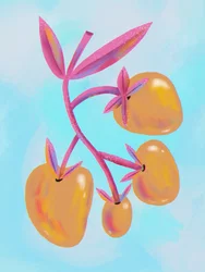 Frutas botánicas de colores vivos