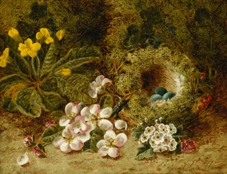 Flores de manzano, una prímula y nido de pájaros en un banco musgoso