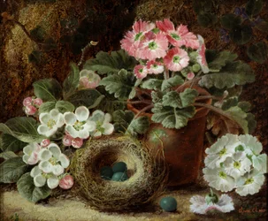 Flores (prímulas) y nido de pájaros. Pintura de Oliver Clare (hacia 1853-1927) Colección particular.