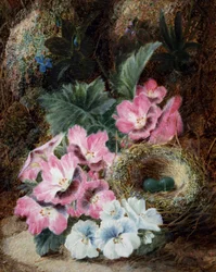Naturaleza muerta con nido de pájaros y violetas. Pintura de Oliver Clare (hacia 1853-1927) Colección particular.